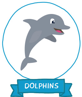 Dolphins Class
